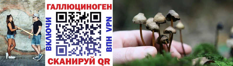 Галлюциногенные грибы Psilocybine cubensis  дарнет шоп  Аргун 